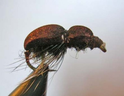 2423047f8dae.jpg (19.54 КБ) 9718 просмотров 2423047f8dae.jpg