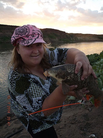 http://forum.tatfish.com/download/file.php?id=20962&mode=view/DSCF8859.jpg