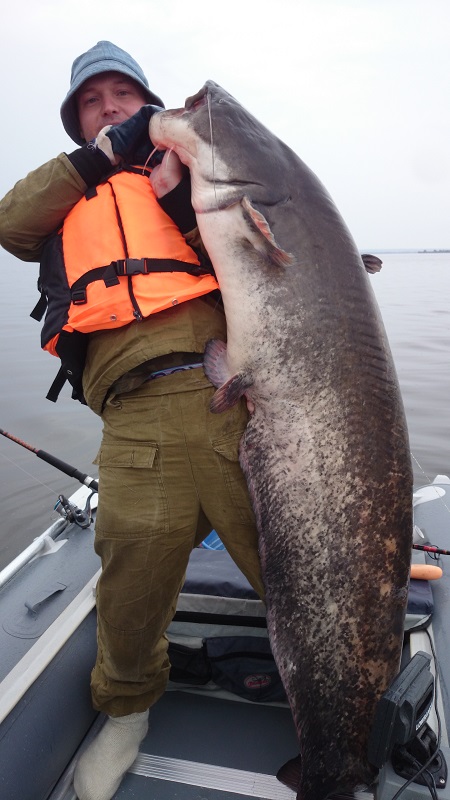 http://forum.tatfish.com/download/file.php?id=21269&mode=view/DSC_0164_1.jpg