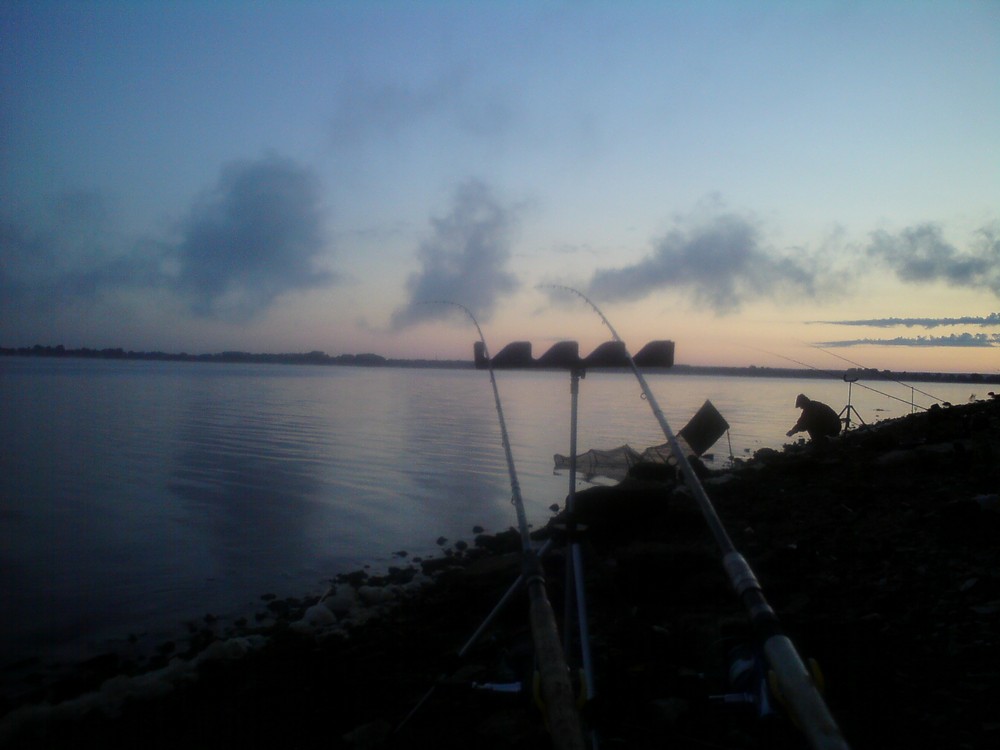 http://forum.tatfish.com/download/file.php?id=21594&mode=view/DSC00595.JPG