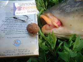 05-06-05 3.JPG (25.85 КБ) 8334 просмотра 05-06-05 3.JPG