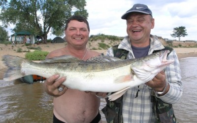 P8064513.JPG (77.28 КБ) 1402 просмотра P8064513.JPG