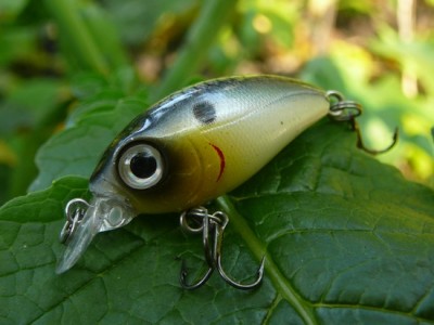 9_7.JPG (78.52 КБ) 1216 просмотров 9_7.JPG