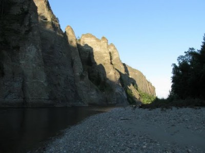 45449354.jpg
