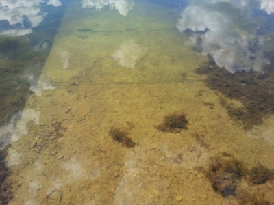 20120530_130209.jpg
