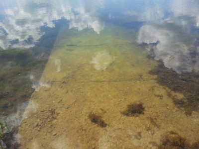 20120530_130216.jpg