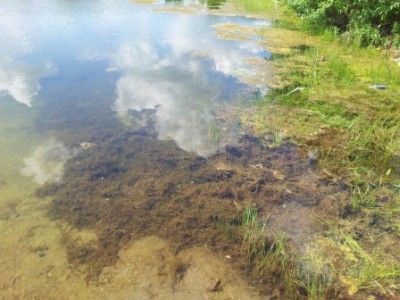 20120530_130225.jpg