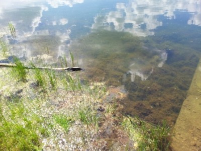 20120530_130238.jpg