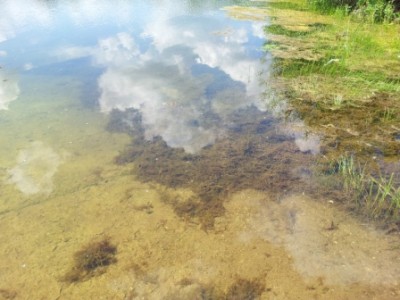 20120530_130248.jpg