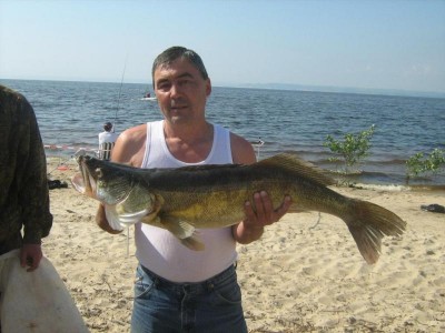 IMG_4662.jpg