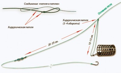 Петля-Гарднера.jpg
