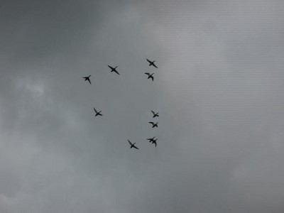 IMG_0345.jpg
