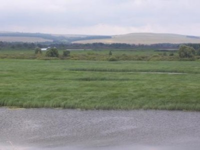 100_1084.JPG