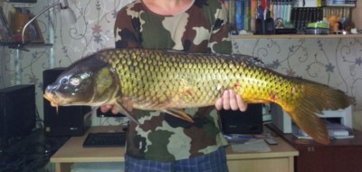 20120805_094610.jpg