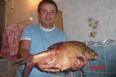 Рисунок1.jpg