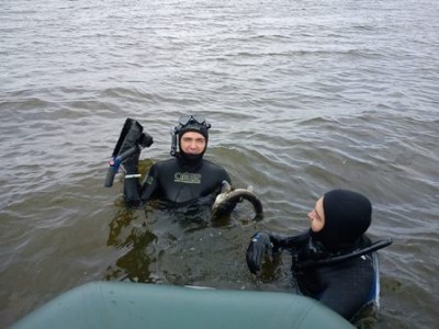 Выход из воды