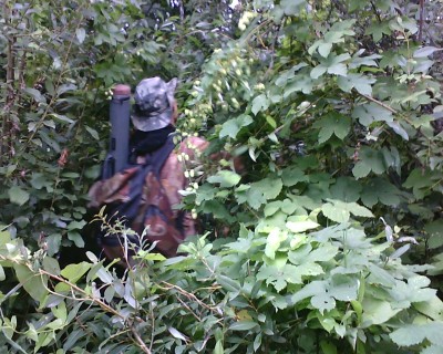 IMG1405A.jpg
