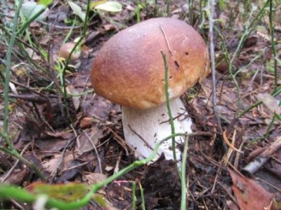 IMG_0717.jpg