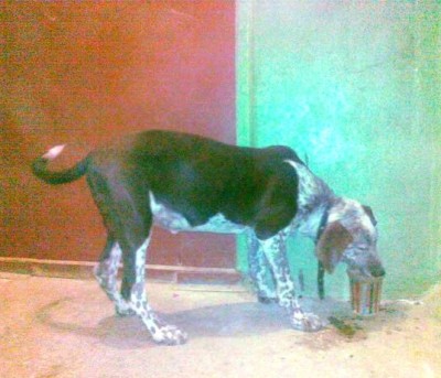 30082012335.jpg