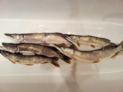 20120830_035951.jpg