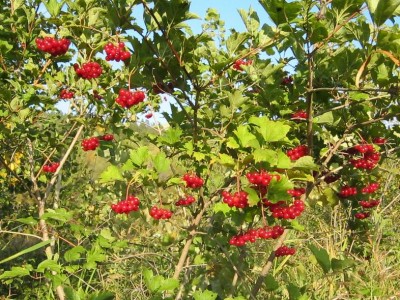 Изменение размера 2012 новая мыльница 963.jpg