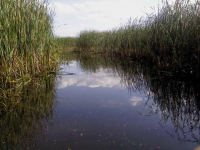 DSC00008.JPG