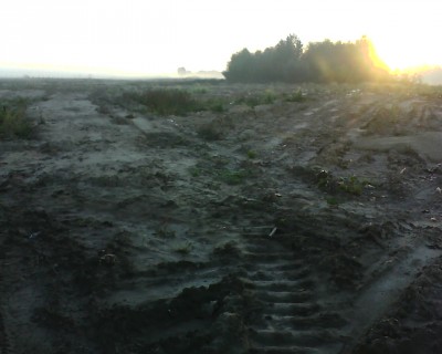 IMG1440A.jpg