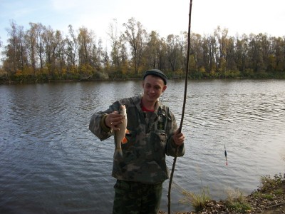 От безделья срубил ветку ( вроде ива )  леска 0.2 крючок 4 . удовольствия и восторга небыло придела когда на эту снасть тащил головлика … полное ощущение движения рыбы .100% кайф .. спасибо за идею LAV!!!!!  ( к сожалению это единственный бонус с трех дневной рыбалки 