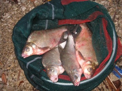 IMG_3826.jpg