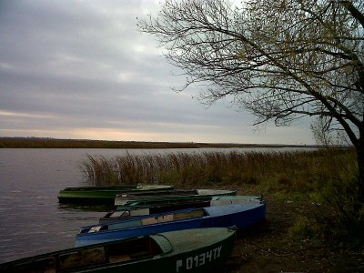 IMG00006-20121020-1039.jpg