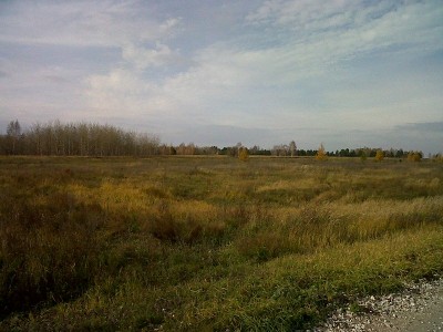 IMG00012-20121020-1111.jpg