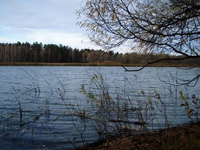 PA211057.jpg