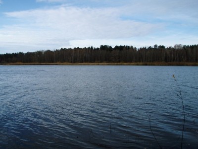 PA211056.jpg