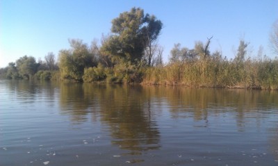 IMAG0350.jpg