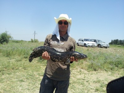 20110707124425111.jpg