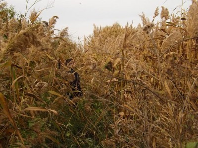 DSCF4380.jpg