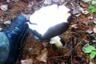 IMAG0287.jpg