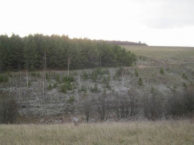Изменение размера октябрь-ноябрь 2012 091.jpg