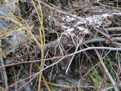 Изменение размера октябрь-ноябрь 2012 096.jpg