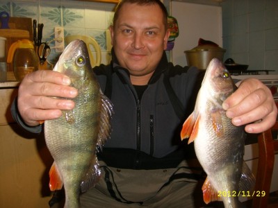 сезон 2012-2013.jpg