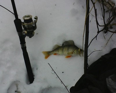 IMG1490A.jpg