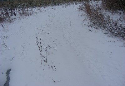 DSCN5842.JPG