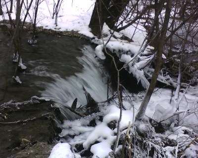 IMG1491A.jpg