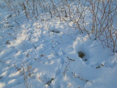 Изменение размера IMG_1718.JPG