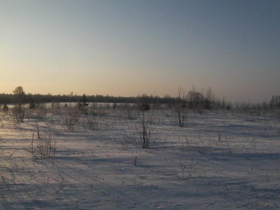 Изменение размера IMG_1713.JPG