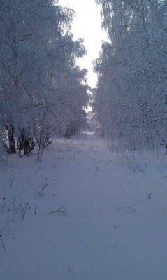 IMAG01361.jpg