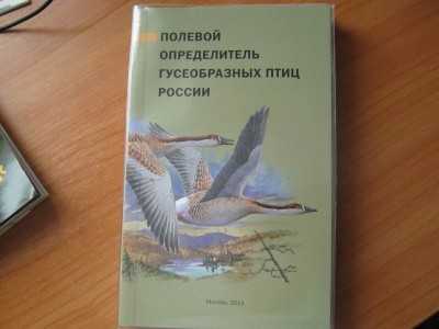 Изменение размера IMG_1827.JPG