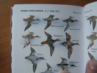 Изменение размера IMG_1828.JPG