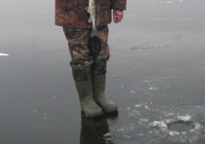 IMG_4922.jpg