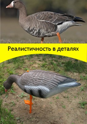 4800 за комплект 12 шт